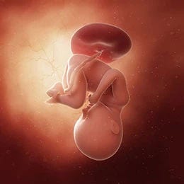 35 weeks fetus