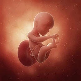 25 weeks fetus